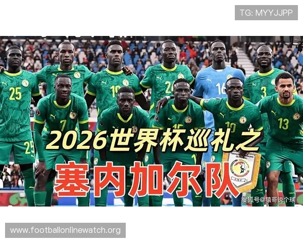 世界杯法国VS塞内加尔赛后采访：球员心声与比赛关键瞬间深度解读